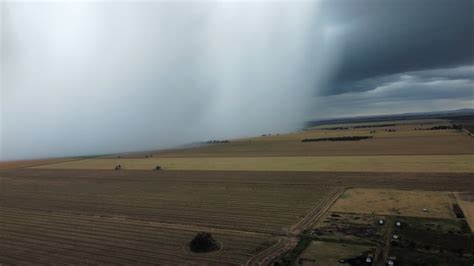 Hail Storms In Victoria S Mallee Region Cause Major Crop Damage Abc News