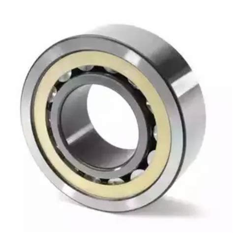 Stainless Steel Single Row Cylindrical Roller Bearing For Machinery At