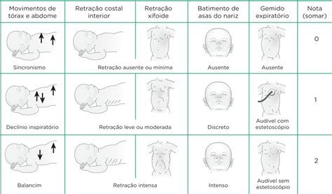 Dist Rbios Respirat Rios Do Rec M Nascido O Que Diagn Stico E