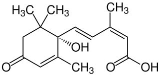 アブシジン酸 - 健康用語WEB事典