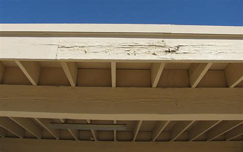 How To Deal With Dry Rot On Your Roof Morgan Asphalte