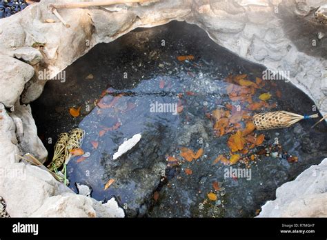 Thai People And Travelers Foreigner Cooking Boiling Eggs In Hot Spring Of Pa Tueng Hot Spring At
