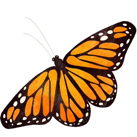 Monarch Butterfly Clipart