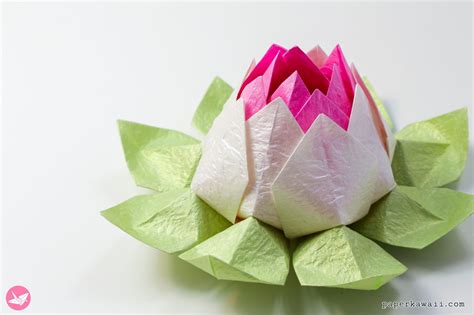 Origami Lotus Flower Tutorial Paper Kawaii