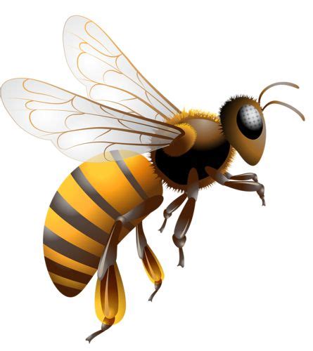 Free Bee Clipart, Download Free Bee Clipart png images, Free ClipArts ...