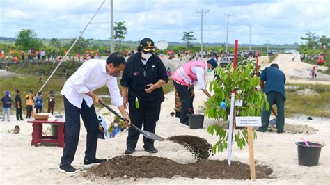 Kalau Pemerintah Semangat Menghijaukan Hutan Kok Bisa Meneken Uu