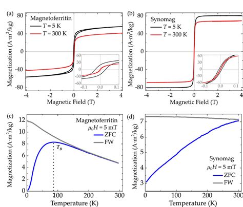 Magnetization As Function Of Magnetic Field For A Magnetoferritin And