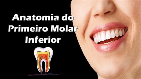 Aula De Anatomia Dental Anatomia Do Primeiro Molar Inferior Dente