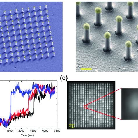 Application Of Plasmonic Nanopillars To High Performance Lspr Imaging