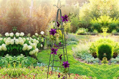 Decorative Garden Obelisk Trellis Offer - LivingSocial
