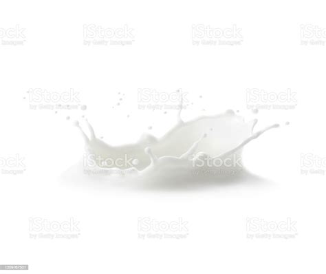 Milk Crown Splash Splatters And White Milky Drops Stock Illustration