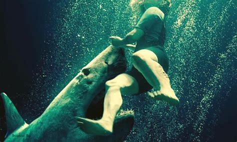 47 Meters Down: Uncaged Ending Explained [Spoiler]