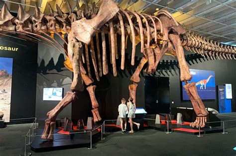 Queensland Museum - Brisbane Kids