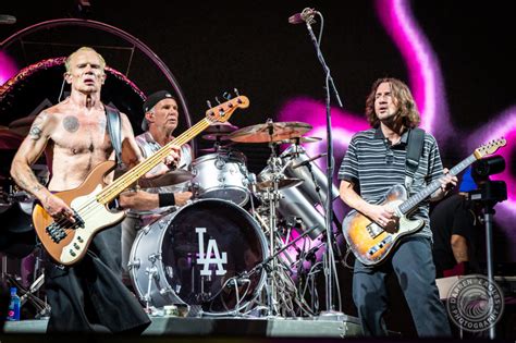 Red Hot Chili Peppers Run Wild At Rogers Centre With The Strokes And Thundercat Photos V13 Net
