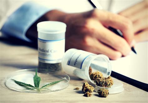 Química farmacéutica una ciencia que desmonta mitos sobre el cannabis