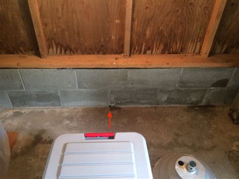 Basement Window Leaking Under Deck at Ryan Henderson blog