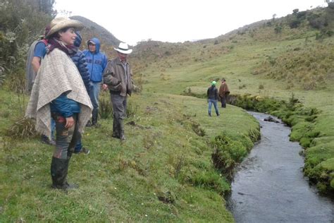 El Canje De Deuda Por Naturaleza No Es La Panacea