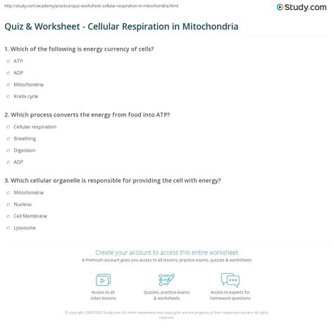 Quiz And Worksheet Cellular Respiration In Mitochondria