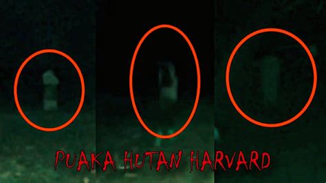 Puaka Hutan Harvard Hantu Kuntilanak Keluar Dari Tanah Paranormal