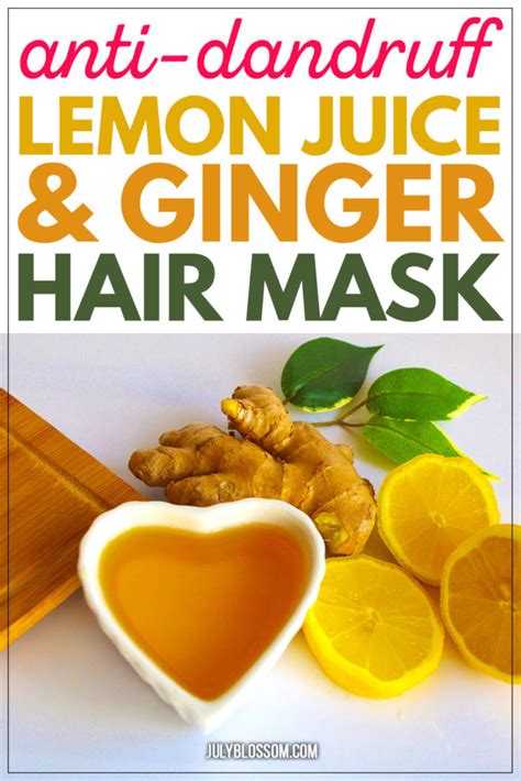 How To Use Ginger For Hair Growth And Dandruff Diy Scalp Hair