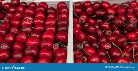 Cerezas Maduras Yacen En Una Caja En Hermosas Filas Planas Abundancia