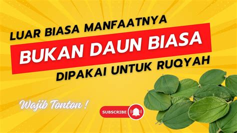 4 Manfaat Daun Bidara Dalam Islam Untuk Memandikan Jenazah Hingga