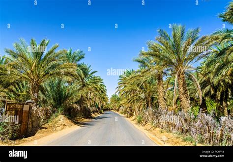 Ouargla algeria hi-res stock photography and images - Alamy