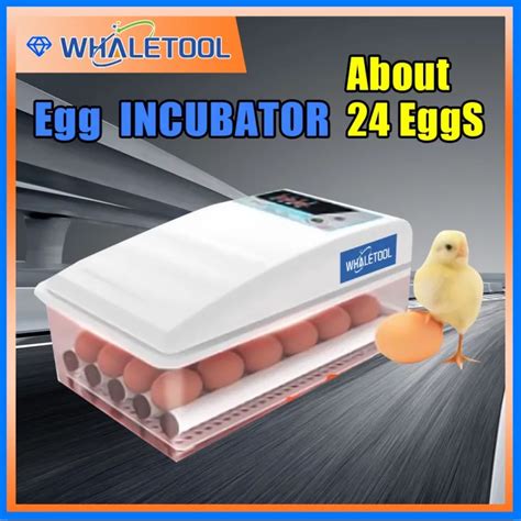 24 Eggs Incubator Brooder Bird Quail Chick Hatchery Incubator Poultry