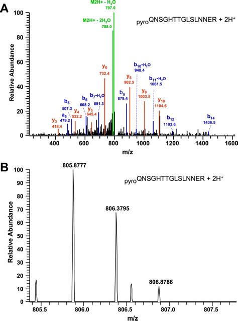 Mass Spectrometric Identification Of Mtp B A Ms Ms Fragmentation