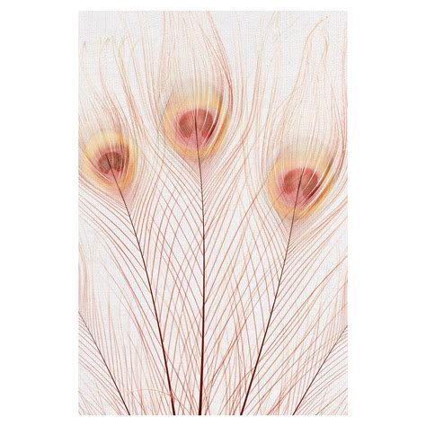 Masterpiece Art Gallery Peach Peacock Feathers By Belle Maison Canvas