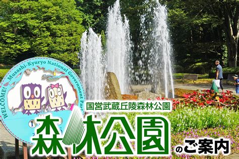 国営武蔵丘陵森林公園（近隣施設） ホテルヘリテイジ 四季の湯温泉【公式】