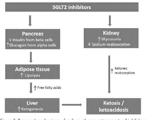 Postoperative Euglycaemic Diabetic Ketoacidosis Associated With Sodium