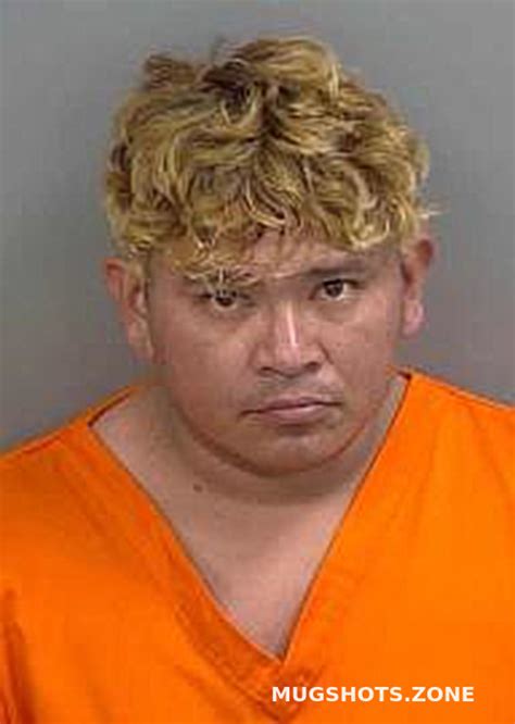 RAMOSRAMOS JOSE JAVIER 03 03 2024 Collier County Mugshots Zone