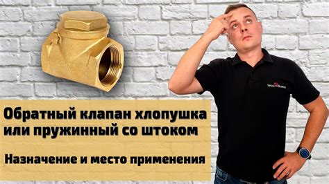 ОБРАТНЫЙ КЛАПАН ХЛОПУШКА или пружинный со штоком | Назначение и место ...