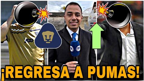 ¿quien Viene🔥nuevo Dt De Pumas LlegarÍa A Pumas Refuerzos Pumas 2024 Youtube