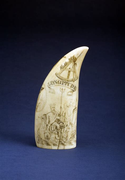 Scrimshaw | Scrimshaw art, Scrimshaw, Teeth art