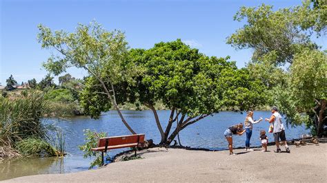 Guajome Regional Park Tclf