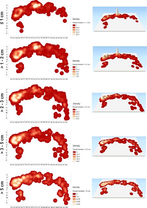 Density maps (in 2D and 3D) showing the distribution of faunal remains ... 