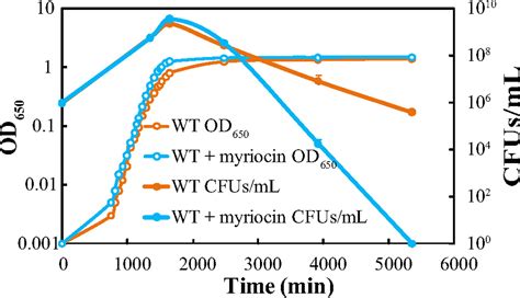 Membrane Sphingolipids As Essential Molecular Signals For Bacteroides Survival In The Intestine