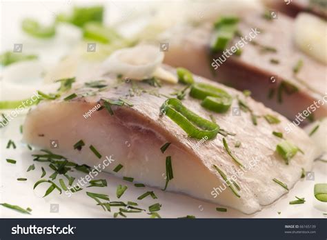 young herring stock photo edit   shutterstock