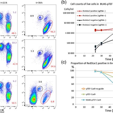 Multiparameter Flow Cytometry Monitoring Of Transformation Of The Y6047