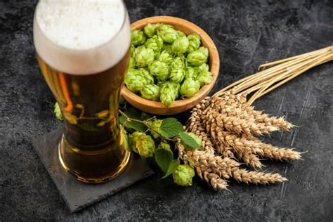 What are Hops in Beer? (Different Types of Hops)