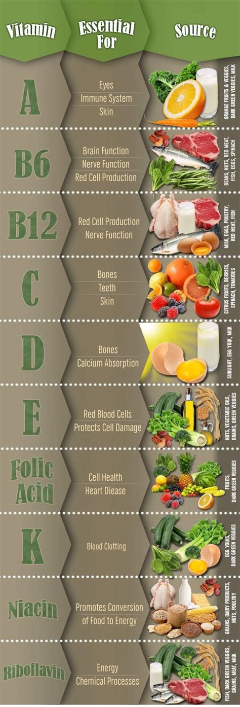 What Vitamins Are Good For Infographic Infographic Plaza