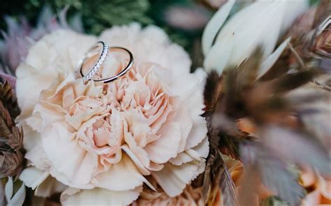 Descargar Fondos De Pantalla Anillos De Boda Rosa Crisantemo La Boda