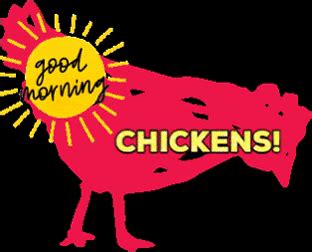 Good Morning Chickens GIFs - Find & Share on GIPHY