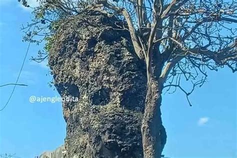 Ingin Mengunjungi Watu Dodol Obyek Wisata Penuh Misteri Di Kota