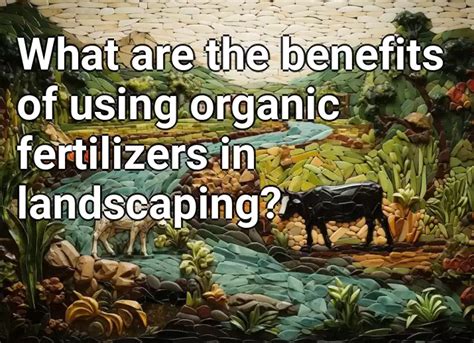 What Are The Benefits Of Using Organic Fertilizers In Landscaping