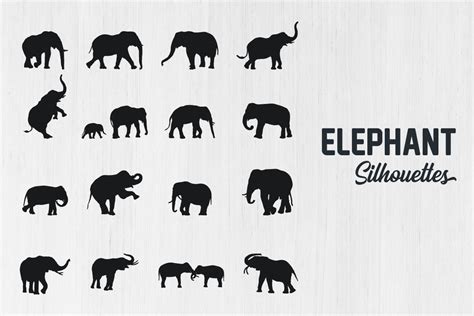 Elephant Silhouette Bundle Elephant Svg Graphic By Designlands