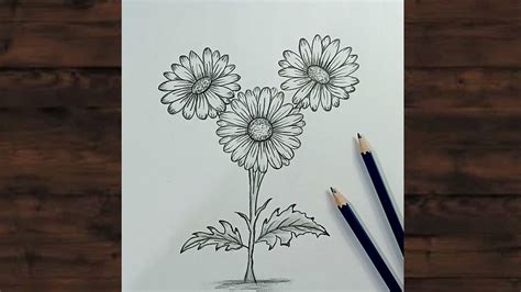 Daisy Flower Pencil Drawing L How To Draw Daisy Flower Step By Step L