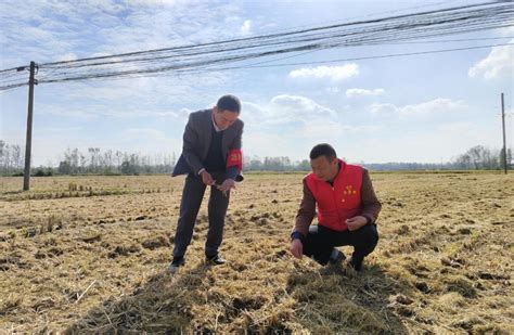 “两在两同”建新功行动丨淮安先锋榜（第八期）澎湃号·政务澎湃新闻 The Paper